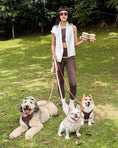 Load image into Gallery viewer, Wander! Bow Harness 2.0 - Cocoa Polka
