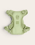 Load image into Gallery viewer, Wander! Bow Harness 2.0 - Matcha
