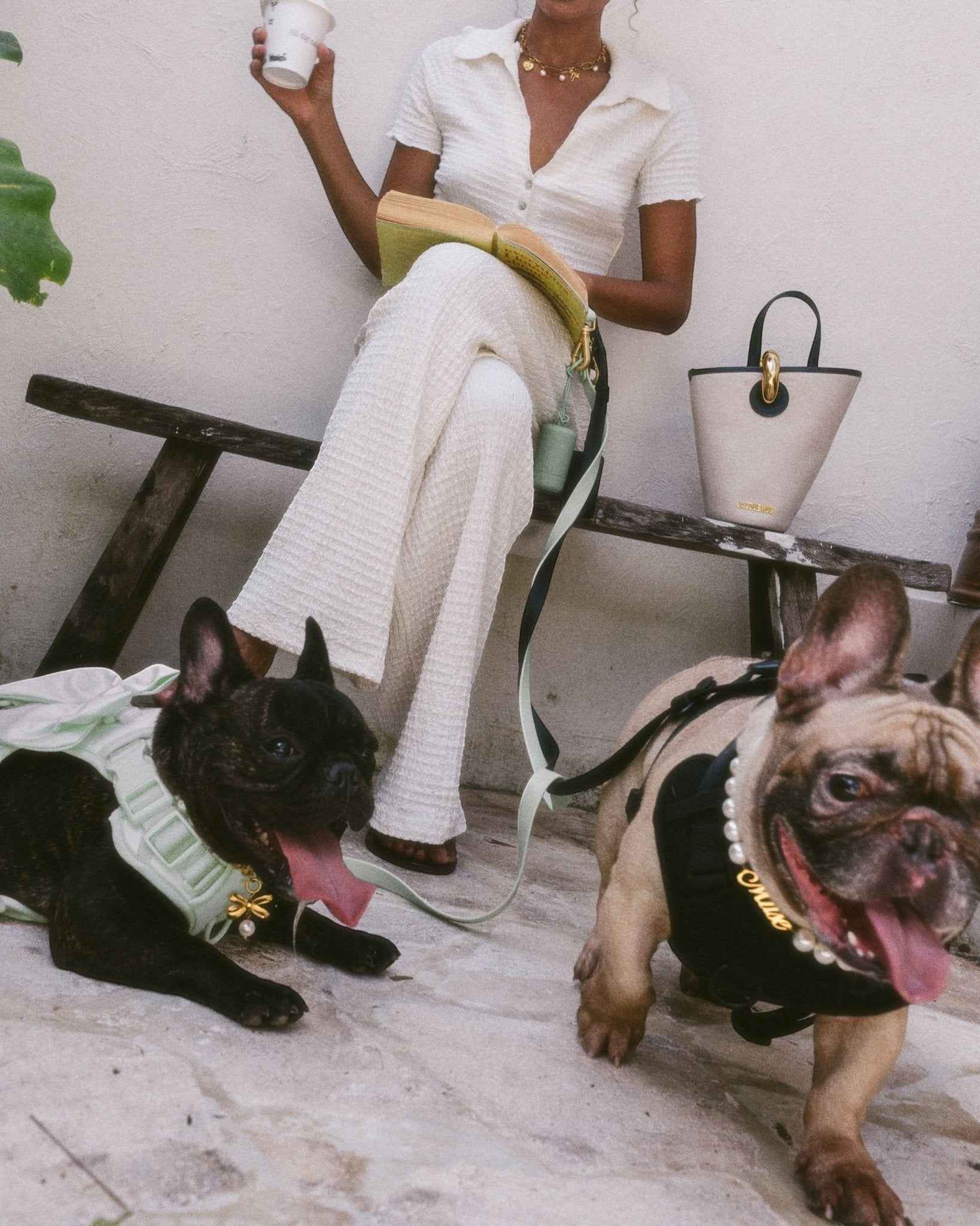 Wander! Bow Harness 2.0 - Matcha