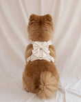 Load image into Gallery viewer, Wander! Bow Harness 2.0 - Pearl
