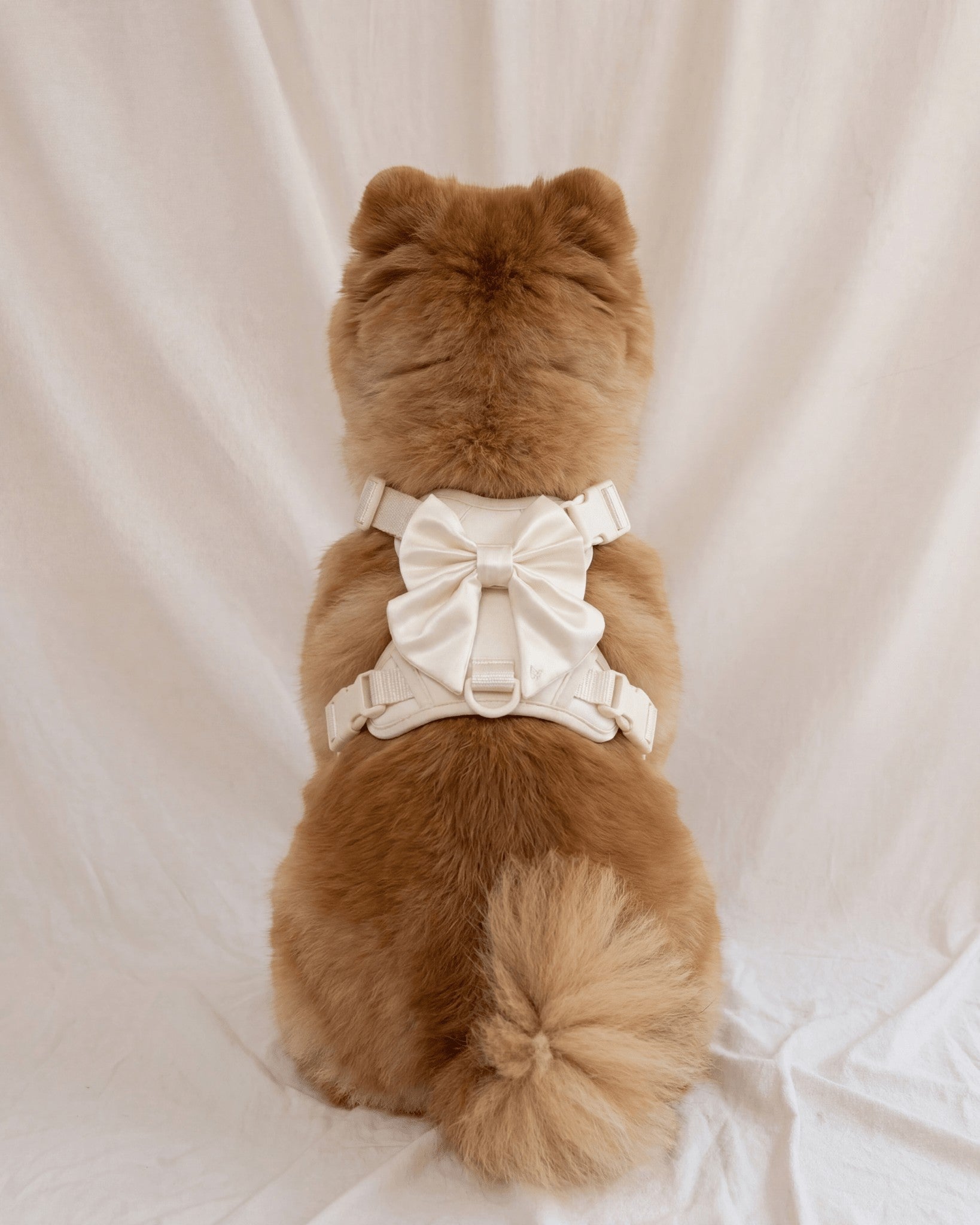 Wander! Bow Harness 2.0 - Pearl