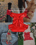 Load image into Gallery viewer, Wander! Bow Harness 2.0 - Cherry
