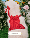Load image into Gallery viewer, Wander! Bow Harness 2.0 - Cherry
