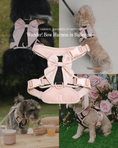 Load image into Gallery viewer, Wander! Bow Harness Ballerina
