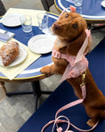 Load image into Gallery viewer, Wander! Bow Harness 2.0 - Blossom Gingham

