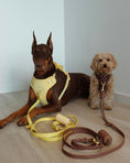 Load image into Gallery viewer, Wander! Multiway Leash - Cocoa
