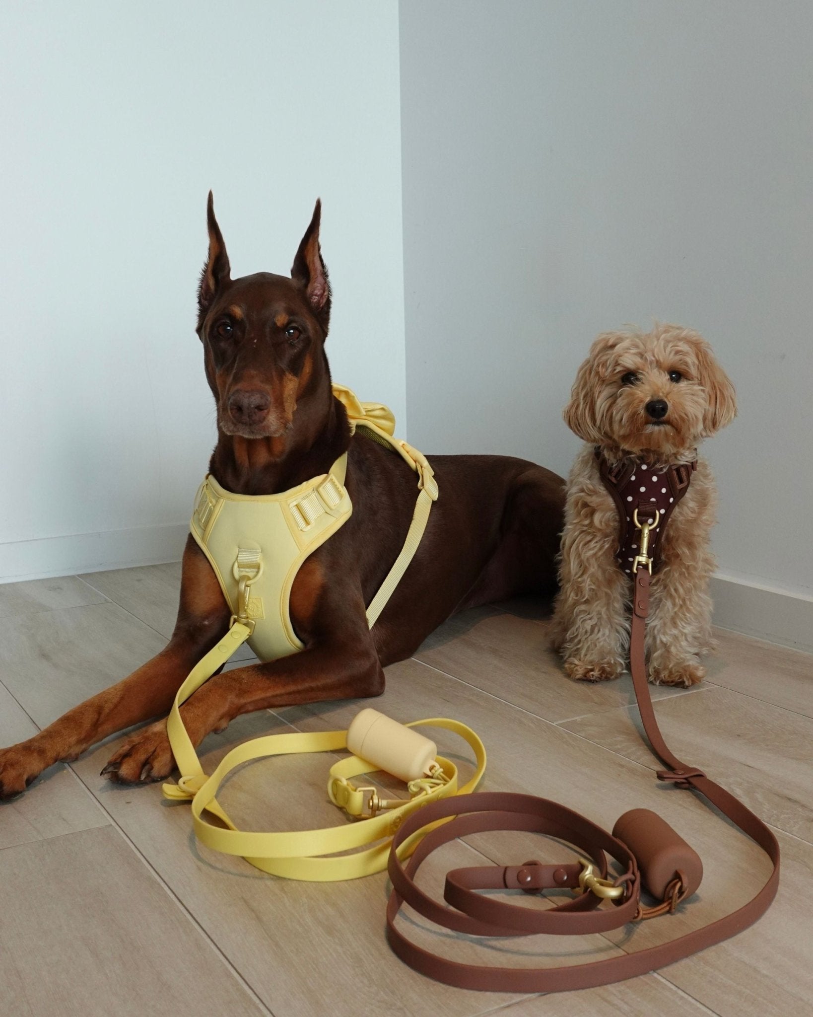 Wander! Multiway Leash - Cocoa