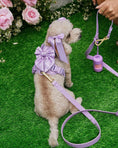 Load image into Gallery viewer, Wander! Multiway Leash - Lilac
