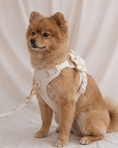 Load image into Gallery viewer, Wander! Multiway Leash - Pearl
