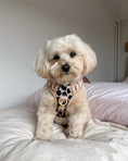 Load image into Gallery viewer, Wander! Bow Harness 2.0 - Leopard
