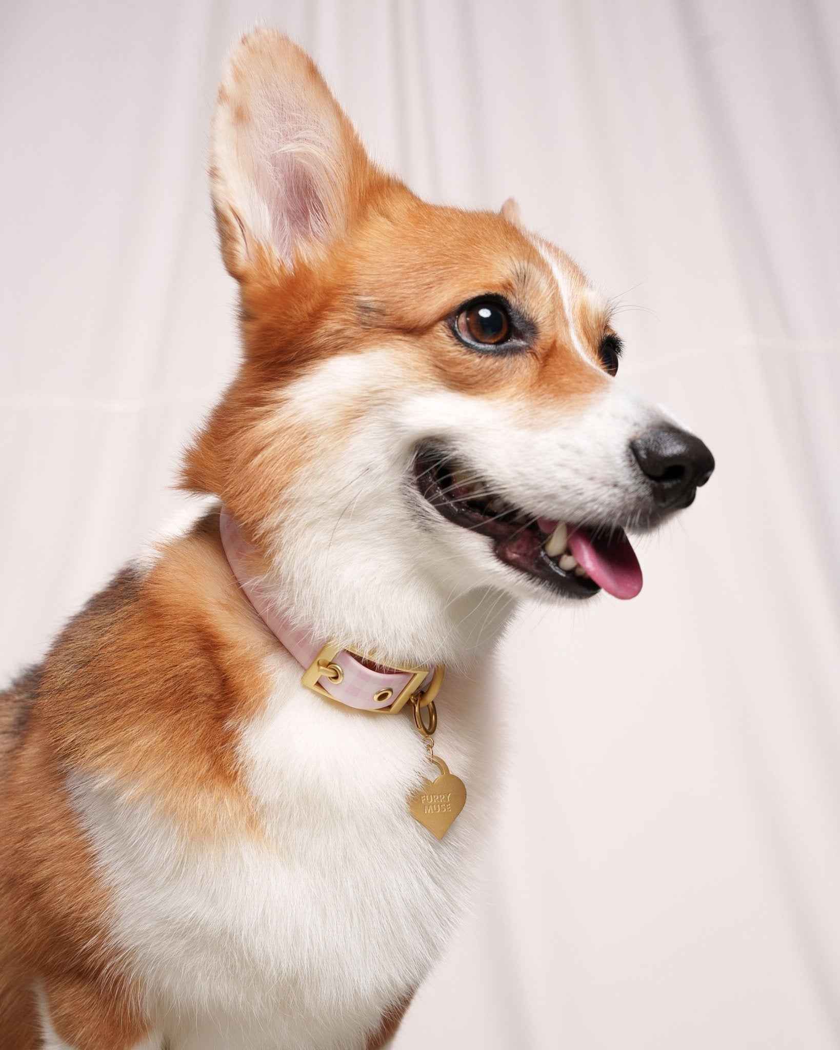 Wander! Collar 2.0 - Blossom Gingham