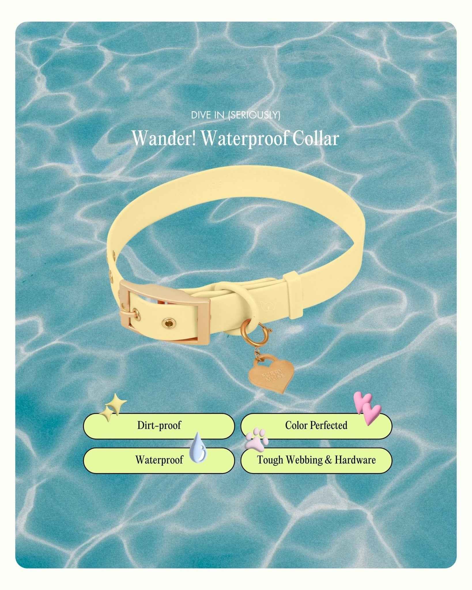 Wander! Collar 2.0 - Buttercream