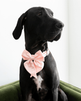 Load image into Gallery viewer, Satin Collar Bow - Blossom
