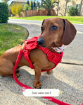 Load image into Gallery viewer, Wander! Waterproof Collar - Blossom

