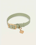 Load image into Gallery viewer, Wander! Collar 2.0 - Matcha
