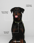 Load image into Gallery viewer, Wander! Multiway Leash - Bubblegum
