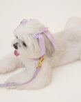 Load image into Gallery viewer, Petite Bow Clips - Lilac
