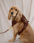 Load image into Gallery viewer, Wander! Multiway Leash - Cocoa
