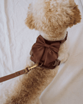 Load image into Gallery viewer, Wander! Multiway Leash - Cocoa
