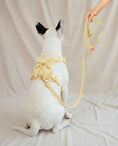 Load image into Gallery viewer, Wander! Multiway Leash - Buttercream
