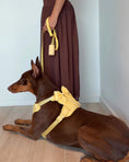 Load image into Gallery viewer, Wander! Multiway Leash - Buttercream
