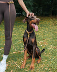 Load image into Gallery viewer, Wander! Multiway Leash - Cocoa Polka Dot
