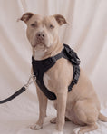 Load image into Gallery viewer, Wander! Multiway Leash - Midnight
