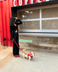 Load image into Gallery viewer, Wander! Multiway Leash -  Cherry
