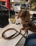Load image into Gallery viewer, Wander! Multiway Leash - Leopard
