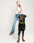 Load image into Gallery viewer, Wander! Multiway Leash -  Martini
