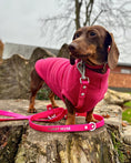 Load image into Gallery viewer, Wander! Multiway Leash - Bubblegum
