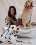 Load image into Gallery viewer, Wander! Multiway Leash -  Sky
