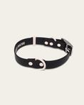 Load image into Gallery viewer, Wander! Waterproof Collar - Ballerina
