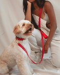 Load image into Gallery viewer, Wander! Waterproof Collar - Cherry

