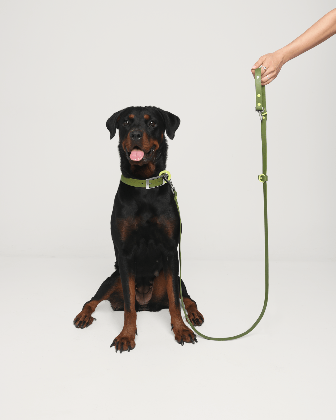 Wander! Waterproof Collar - Martini