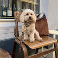 Load image into Gallery viewer, Wander! Waterproof Collar - Leopard
