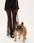 Load image into Gallery viewer, Wander! Multiway Leash - Leopard
