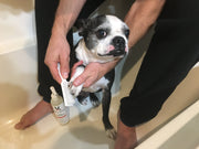 Paw Sani-Scrub - Gallon - Paw and Nail Cleanser