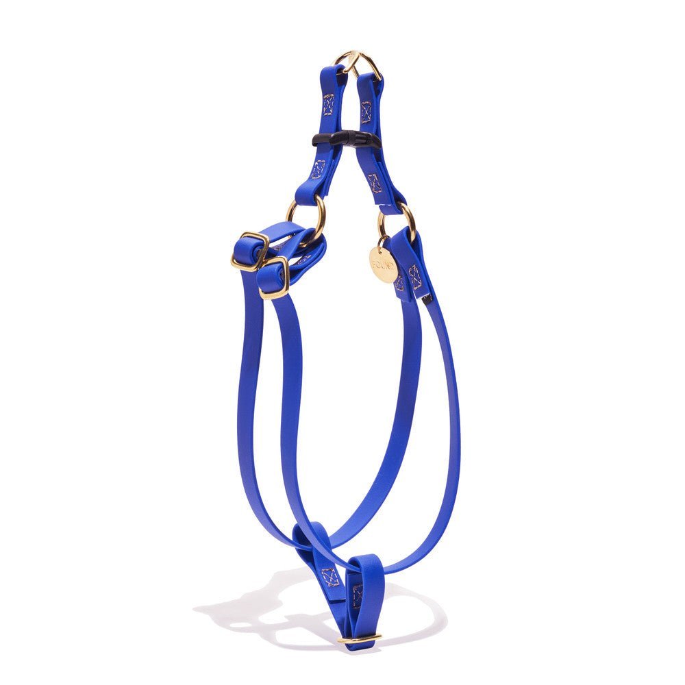 Dog & Cat Harnesses Premium Water Resistant Cat & Dog Harness, Bright Blue