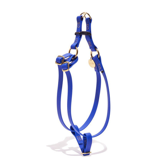 Dog & Cat Harnesses Premium Water Resistant Cat & Dog Harness, Bright Blue