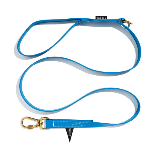 Standard 5ft Leads Premium Water Resistant Standard 5ft Leash, Aqua | Found My Animal