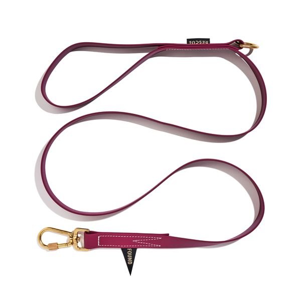 Standard 5ft Leads Premium Water Resistant Standard 5ft Leash, Berry | Found My Animal