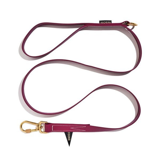 Standard 5ft Leads Premium Water Resistant Standard 5ft Leash, Berry | Found My Animal