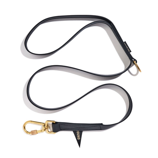 Standard 5ft Leads Premium Water Resistant Standard 5ft Leash, Black | Found My Animal