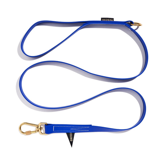 Standard 5ft Leads Premium Water Resistant Standard 5ft Leash, Blue | Found My Animal