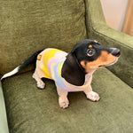 Wavy Knitted Dog Sweater 