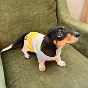 Wavy Knitted Dog Sweater 