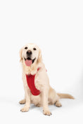 Load image into Gallery viewer, Harness - Southlake Paws
