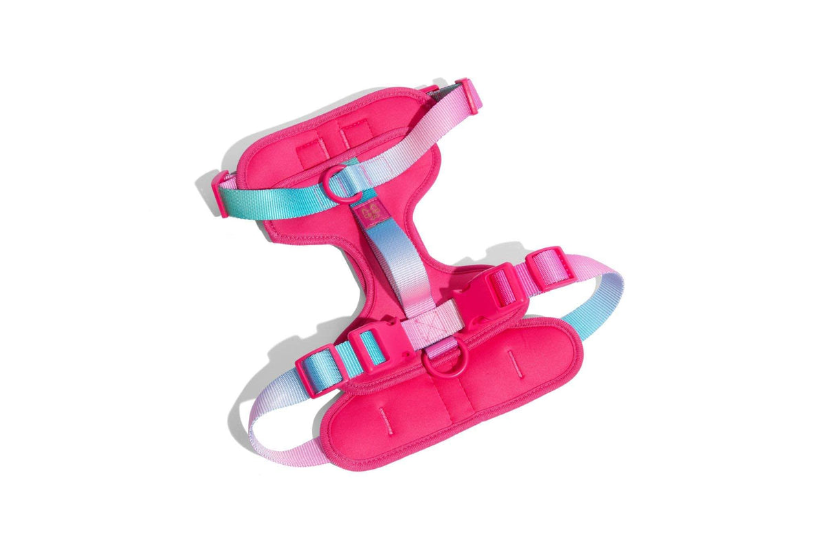 Stasia Dog Harness