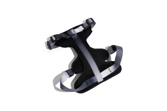 Rowan Dog Harness